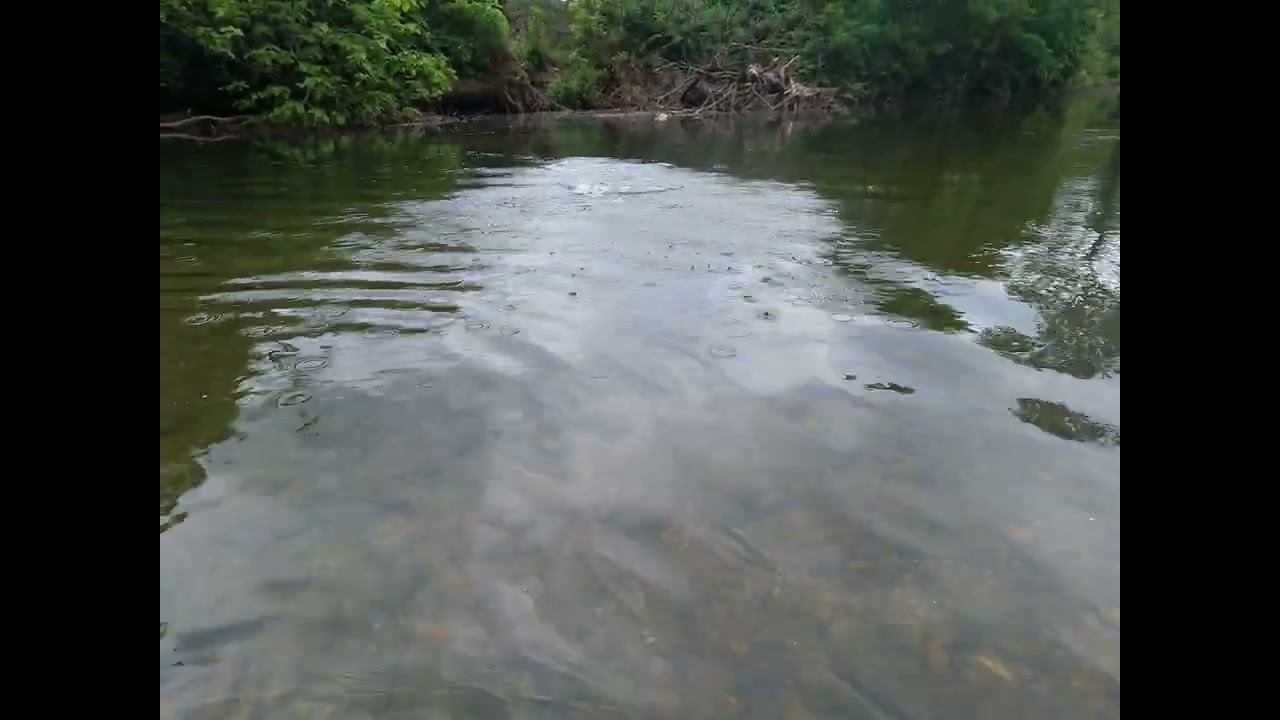 Catching a rainbow trout on my first cast of the day
