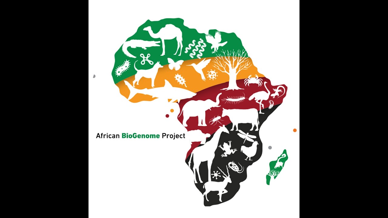 Africa BioGenome presentation 9-13 Sept 2024