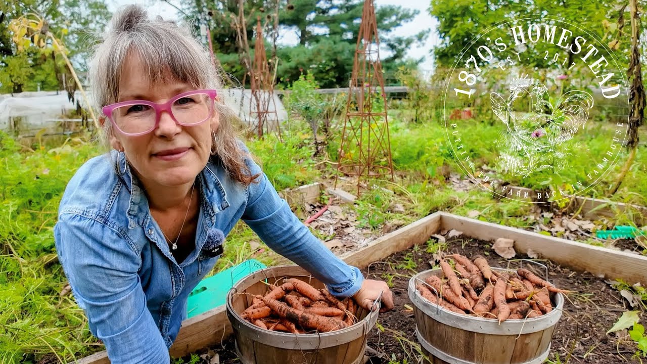 The Farm Stand Shutdown | My Response and Reflections