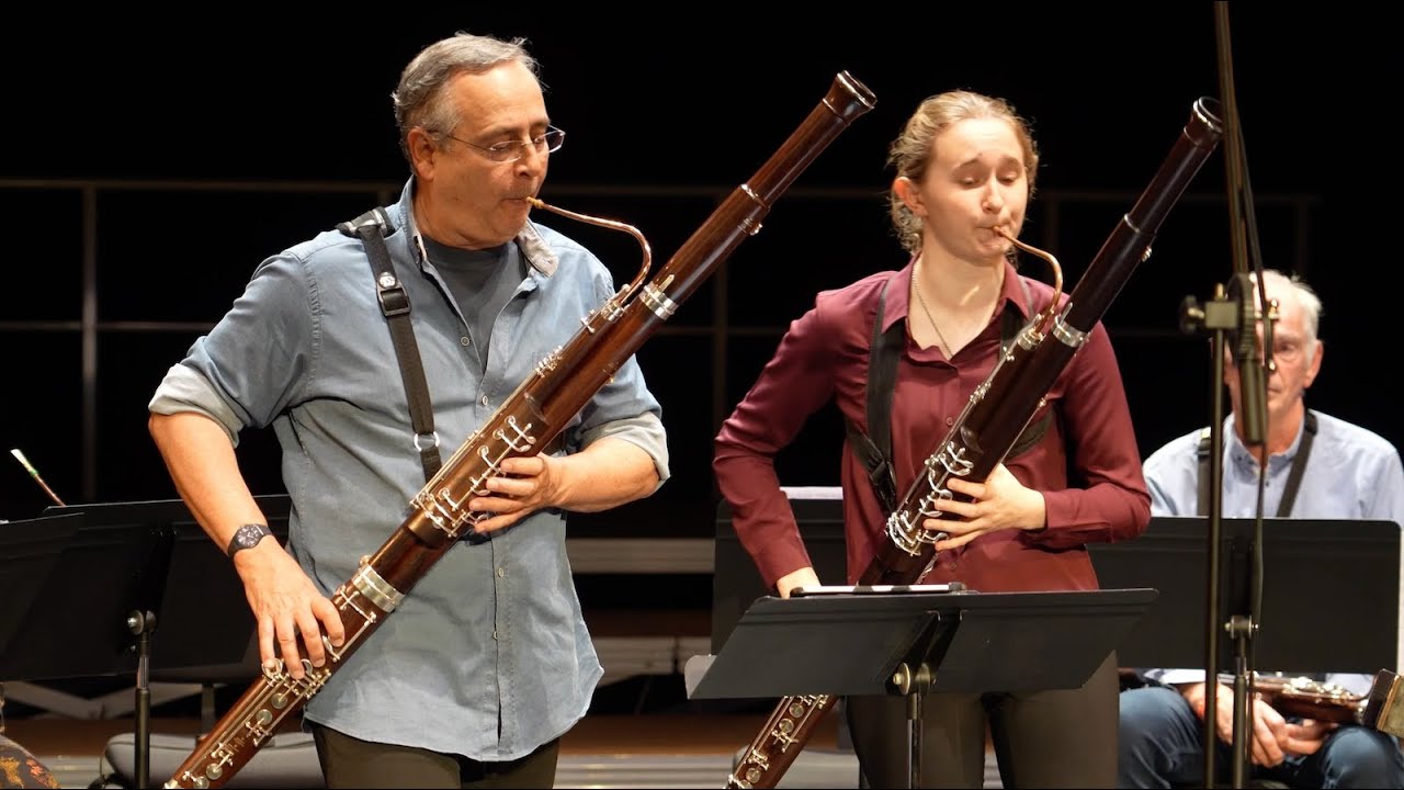 Variations sur un thème de Mendelssohn - Jean-Philippe AUDIN