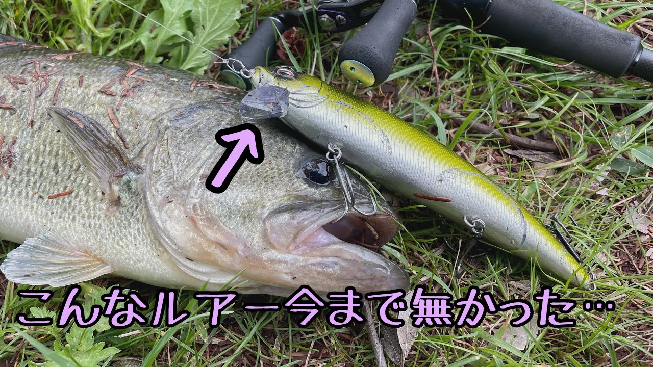 【インプレ】アベンジミノー170の実釣＆使い方ご紹介！
