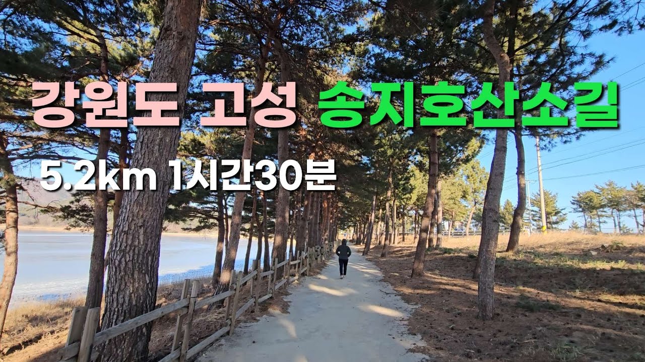 강원도 고성 송지호둘레길(산소길) 트레킹 (5.2km 1시간30분소요)