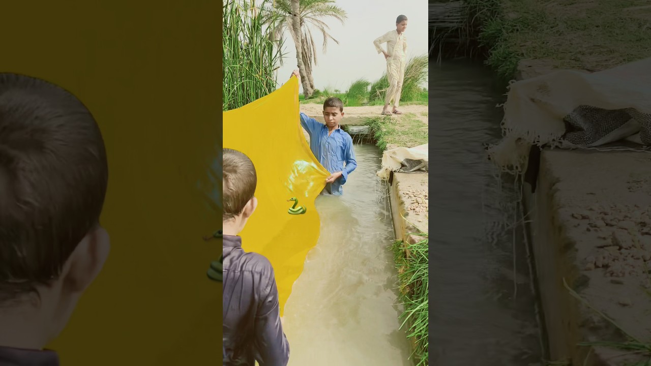 #Fishing#viral video#surprise#Vishwa Karni Kari Ka#￼🐍🐍🐟🐬🐋🐠❤️