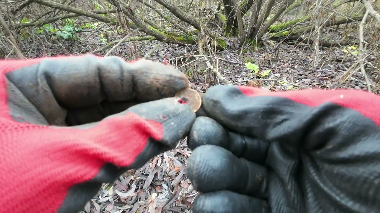 Поиск кладов с NOKTA LEGEND! Серебро на лесной дороге! #коп_монет #metaldetecting #находки 