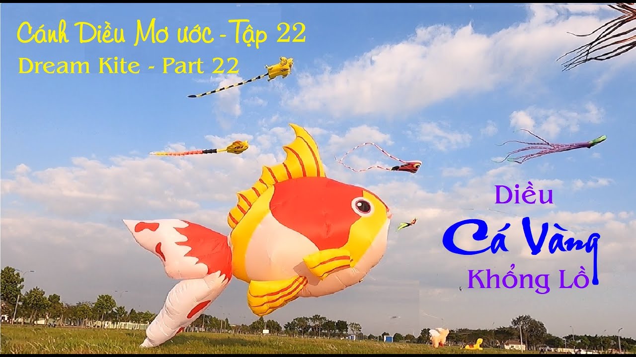 Thả Diều Cá Vàng Khí Động Học Khổng Lồ-Đông Tăng Long Q9- Cánh Diều Mơ Ước-Tập 22-Dream Kite-Part 22