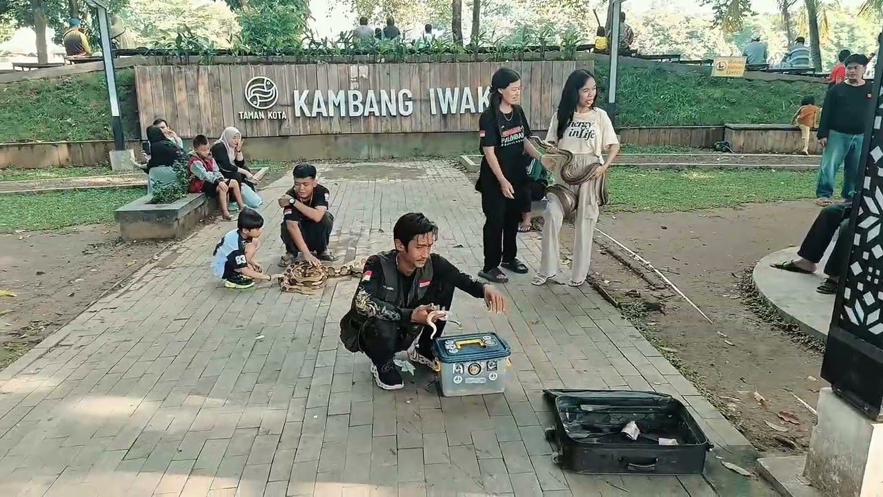 Kambang Iwak