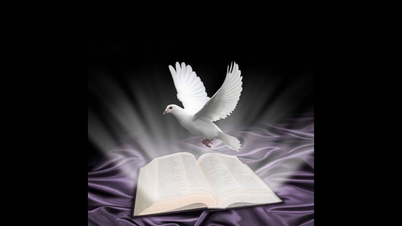 LIVE: Pastor: Florin ZAMOSTEANU  