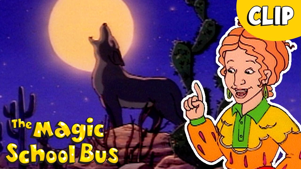 The Desert Comes to Life at Night | Desert Survival | Science for Kids | The Magic School Bus