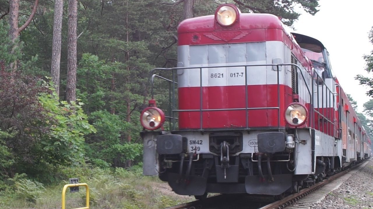 Sm42-349 z pociągiem sezonowym na Mierzei