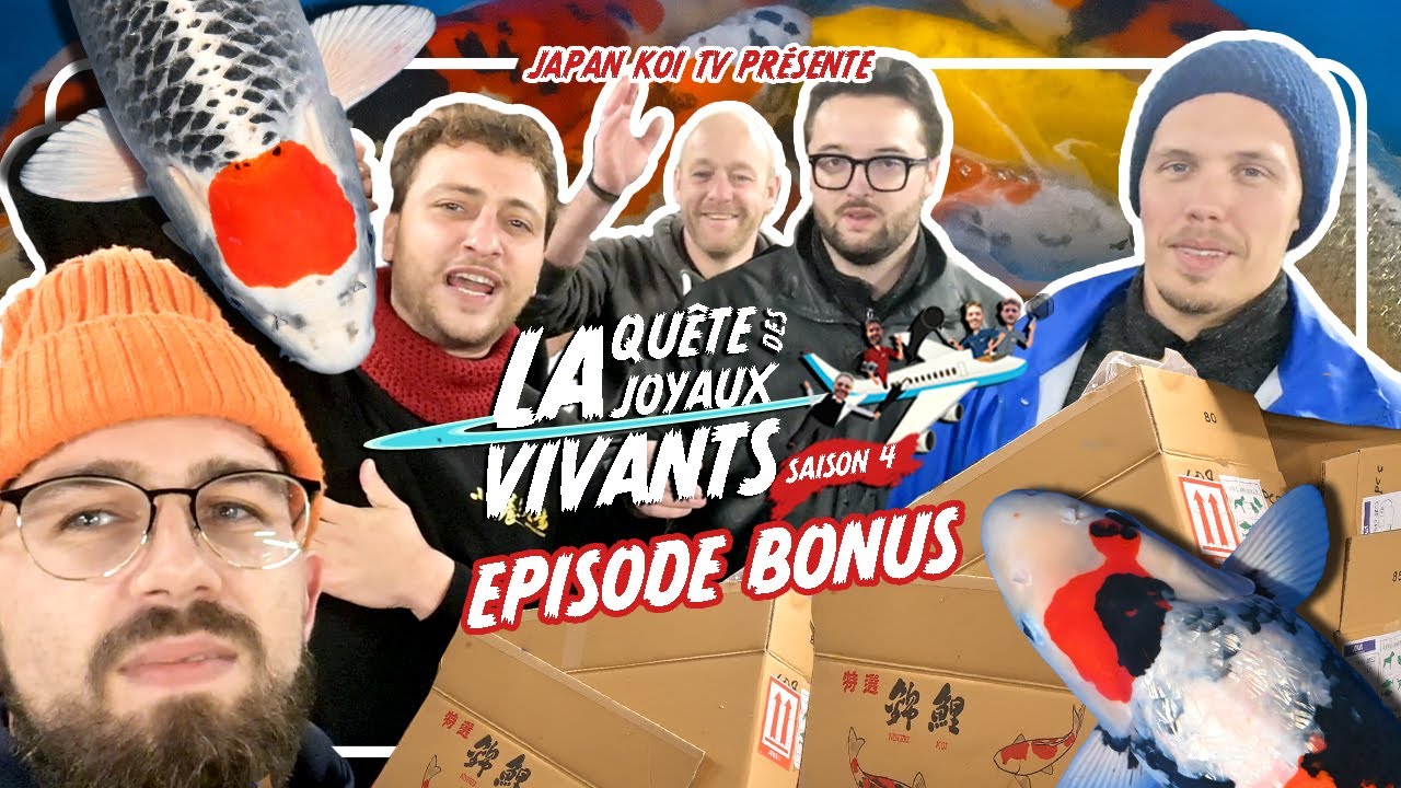 On reçoit TOUS les kois selectionnés au JAPON !! 🤯 🐟 🎌 • Koi Hunters - Episode Bonus