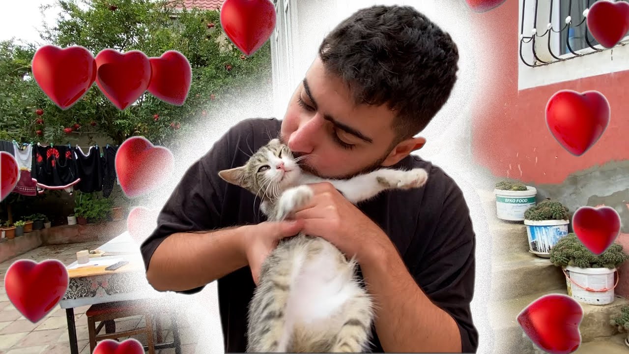 PİŞİYİMƏ EV DÜZƏLTDİM! (dağıldı)