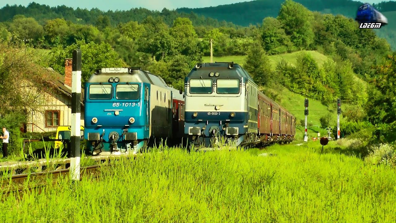 Trenuri in Bratca - Trains in Bratca - 31 August 2014