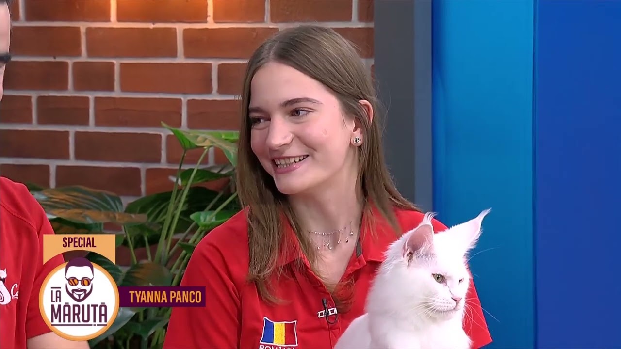 Un motan din România, campion mondial la frumusețe