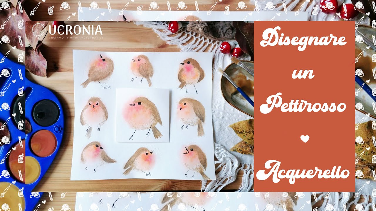 Come disegnare un PETTIROSSO con prodotti generici _ Acquerelli