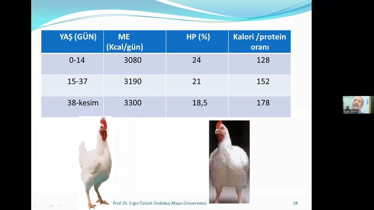 Yem ve Hayvan Besleme Teknik Eğitim Prog., Prof. Dr. Ergin ÖZTÜRK - Etlik Piliçlerin Beslenmesi