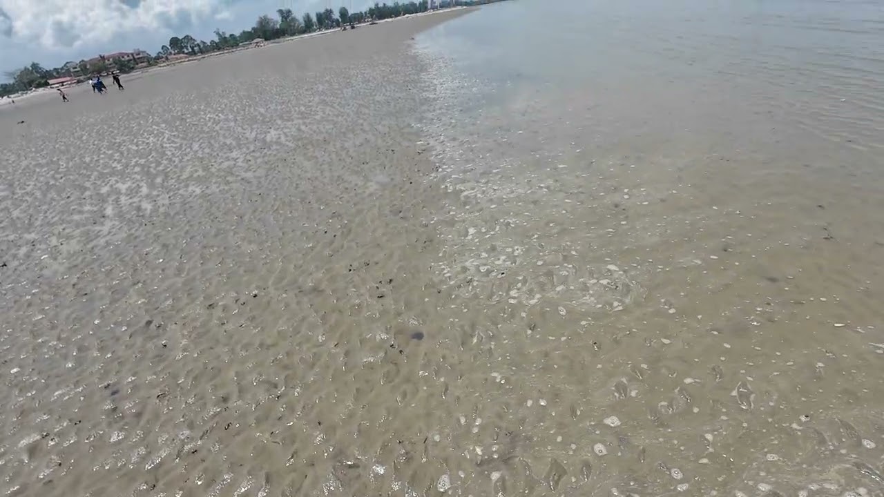 Malaysia's Hidden Gem: Morib Beach Low Tide Walk #Malaysia #PantaiMorib  #Clouds #NatureWalk 