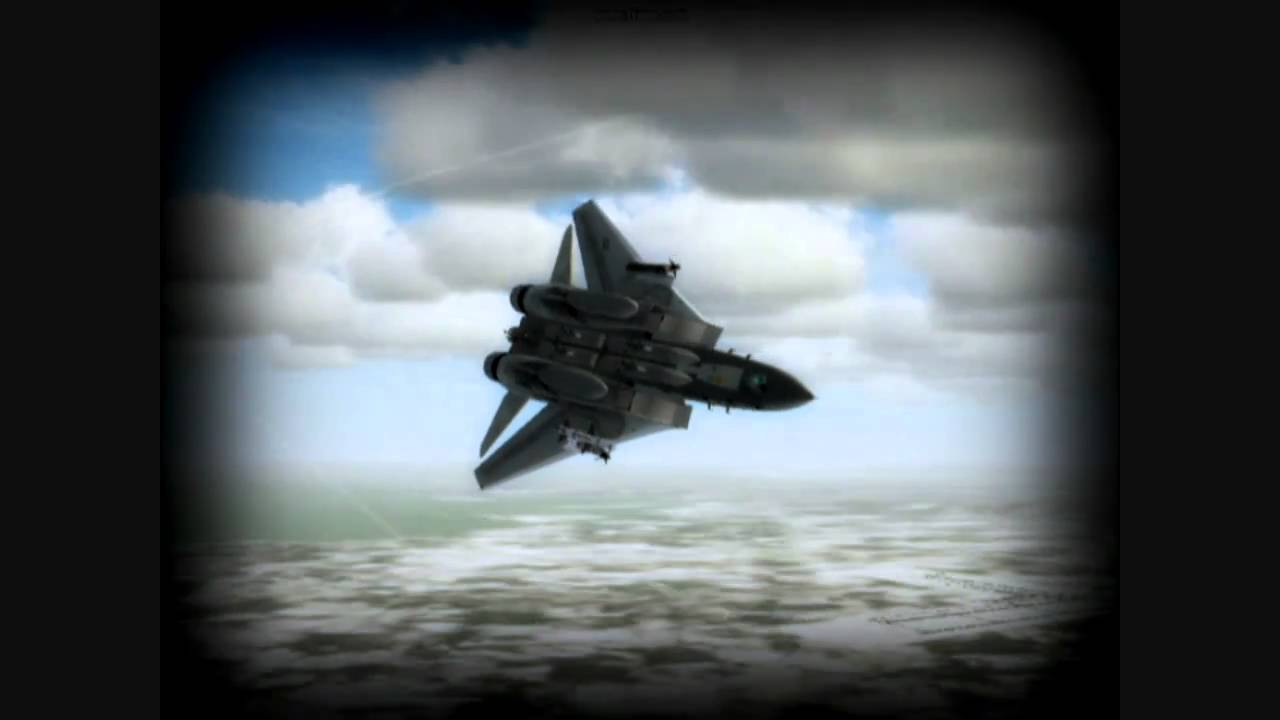 The Great F-14 tomcat (FSX)