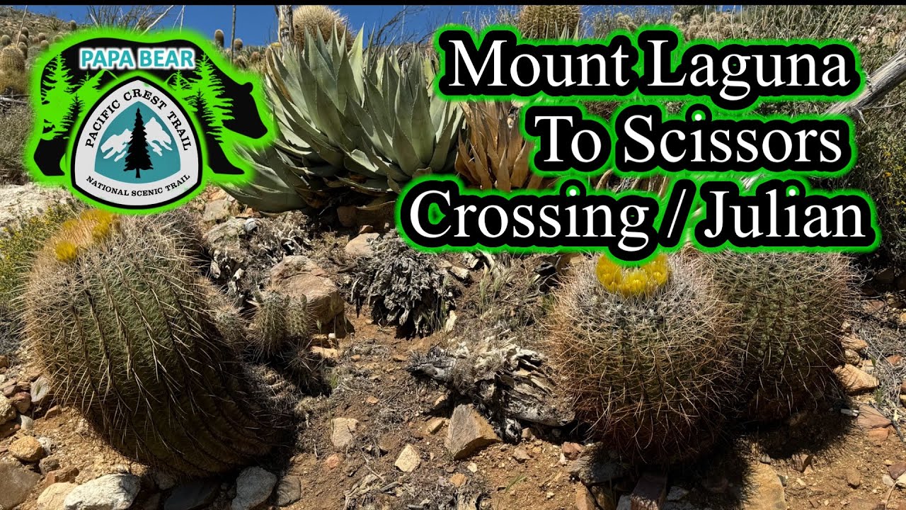 PCT Pacific Crest Trail 2024 Thru Hike | EP 3 | Mount Laguna To Scissors Crossing / Julian #desert