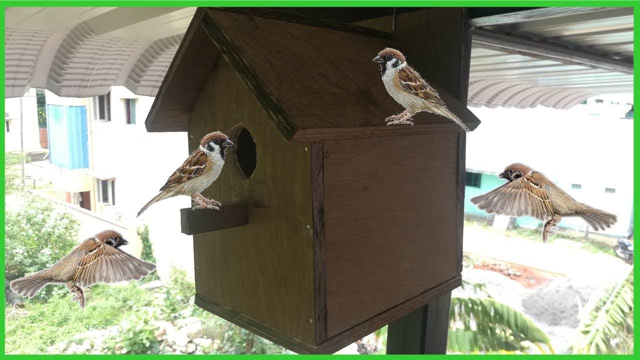 சிட்டுக்குருவி கூடு வீட்டில் செய்வது எப்படி? | How to make Sparrow Bird Nest Box at Home Tamil