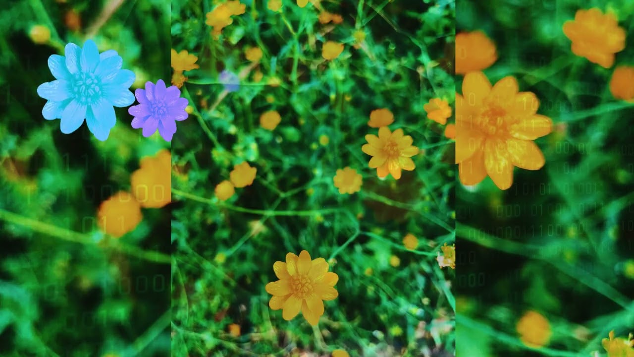 if pixelated flowers popped up as data points in spring 𖡼.𖤣𖥧𖡼.𖤣𖥧 (synth sketch, Korg Volca FM2)