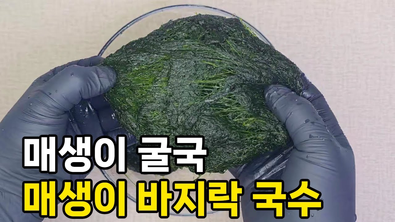 겨울 제철 매생이, 매생이 굴국과 매생이 바지락 국수, 매생이 손질, 보관법