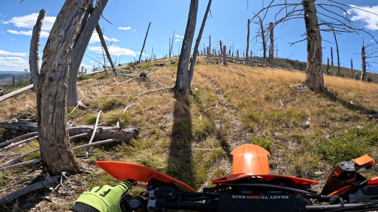 Montana Single Track Goodness