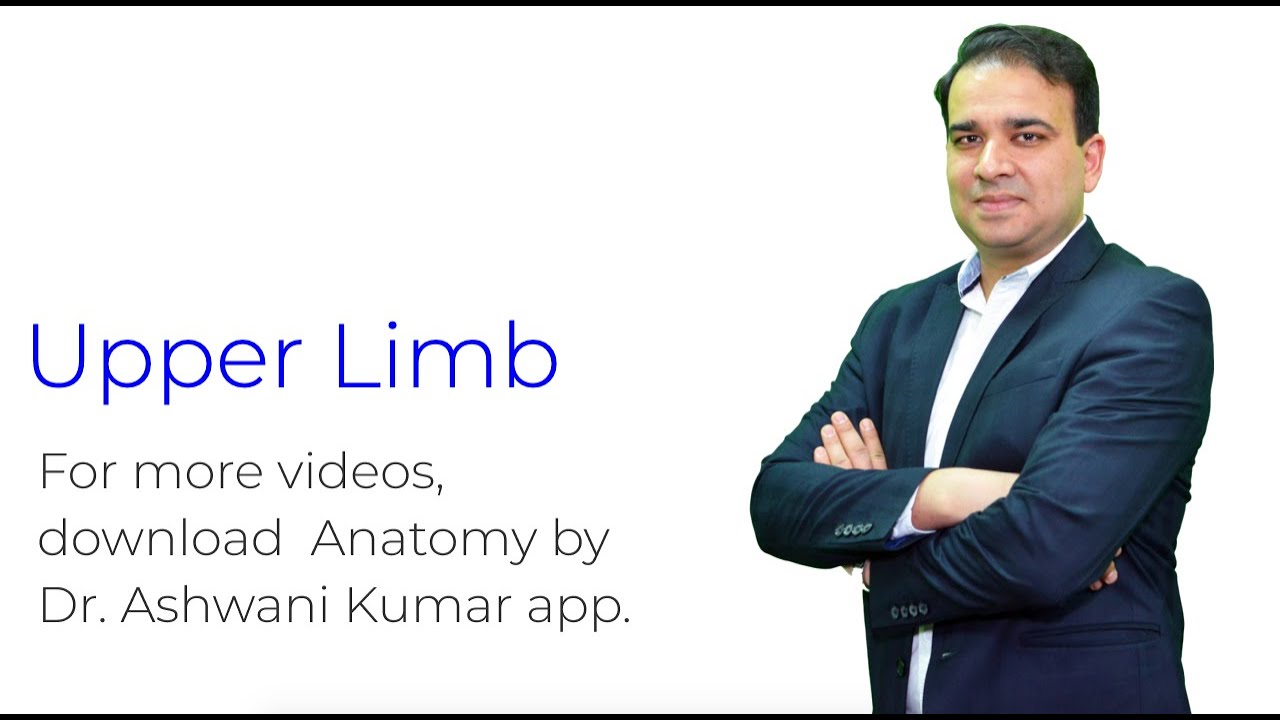 Upper Limb Anatomy - Part 1 NEET PG