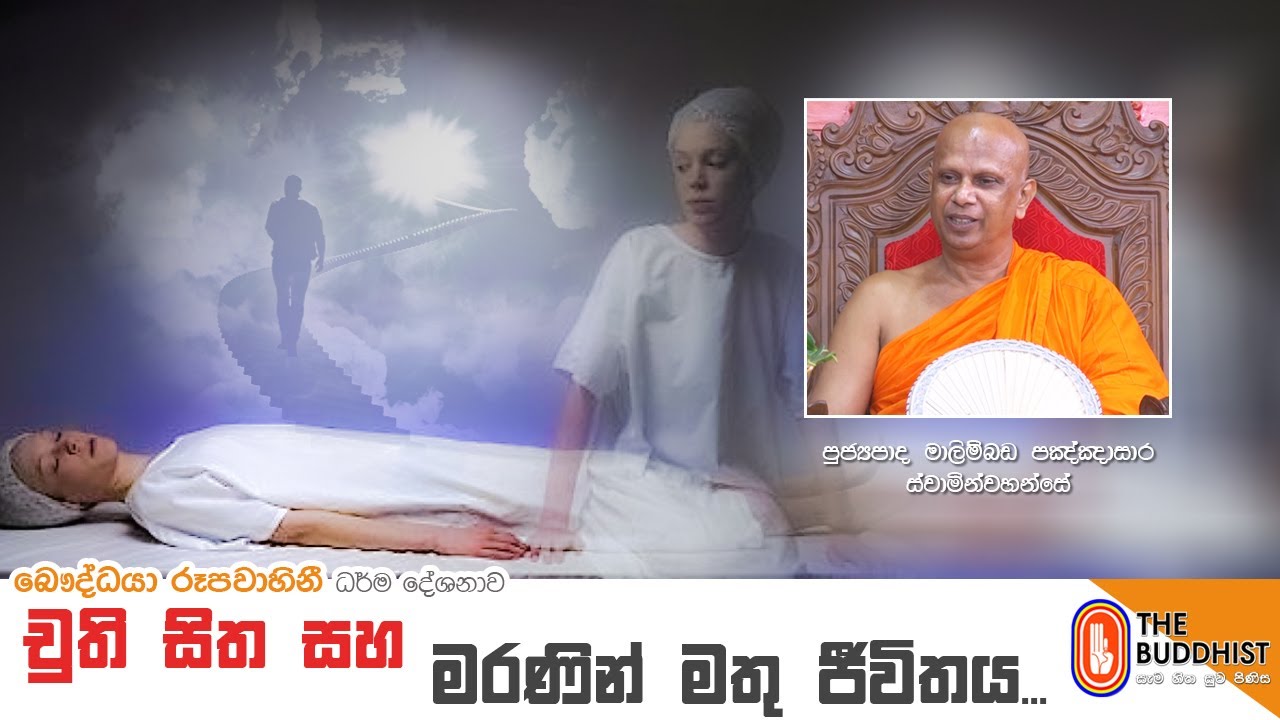 Ven Malimbada Pannasara Thero | 2021-09-01 | 12:30 PM (චුති සිත සහ මරණින් මතු ජිවිතය)