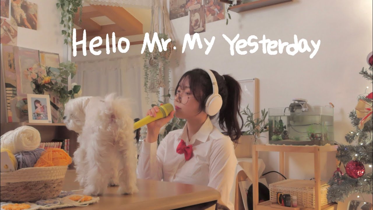 Hello Mr. My Yesterday 명탐정 코난 10기 오프닝 (OP) / 名探偵 コナン / Detective Conan OST