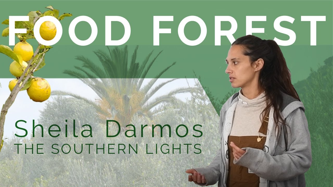 What is a Food Forest? Insights from The Southern Lights Project in Greece
