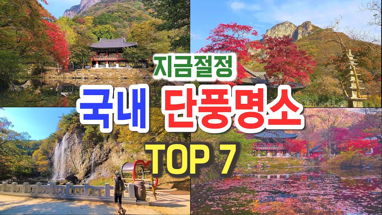 놓치면 후회할 국내 단풍명소 베스트 7, 국내 최고의 단풍산행, 가을 단풍여행지,  설악산단풍, 내장산단풍, 강천산단풍, 오대산 선재길, 주왕산, 문경새재