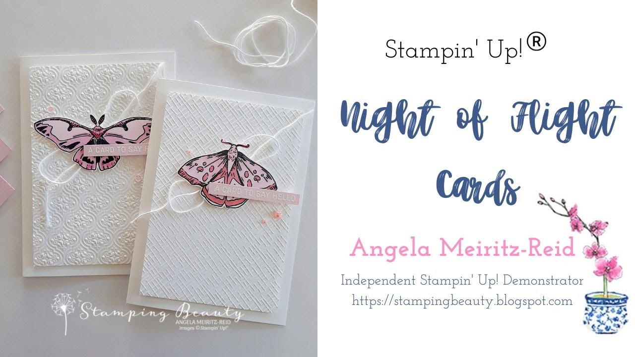 Stampin' Up! Night of Flight Hello Card