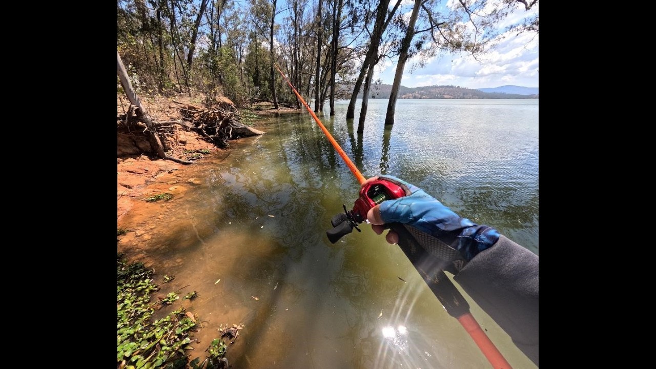 Pescando en Aguas Cristalinas