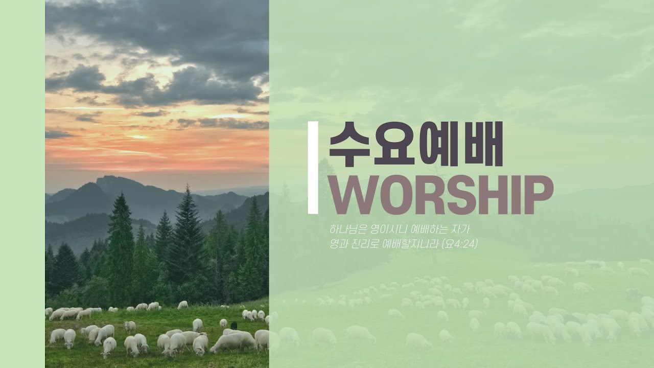 [2024-7-10] 매임을 당한 이유 / 골로새서 4:2-9 / 이용덕 목사
