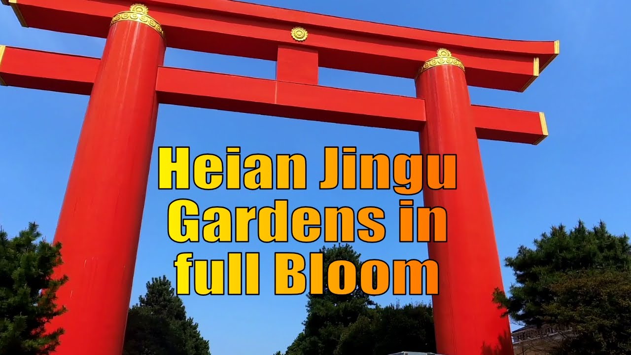 Heian Jingu in Full Bloom