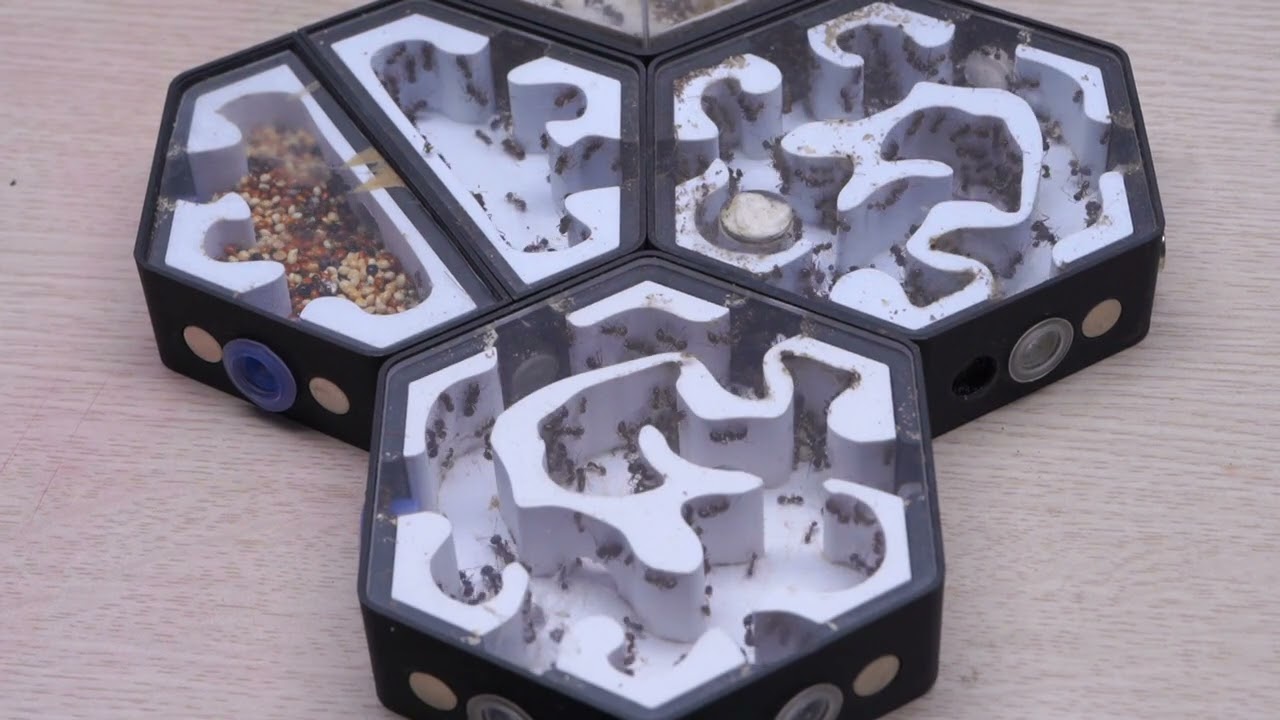 Ant Pivot Bridge: Center Peg Swivel 🌪️