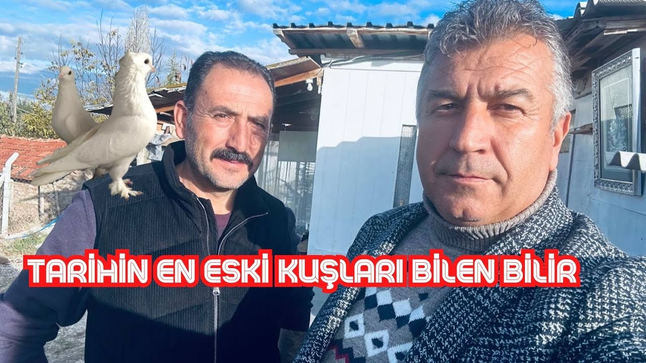 Yılların En İsimli Abisinin Tarihi Kuşları Görenin Gözleri Büyür Maşallah ...!