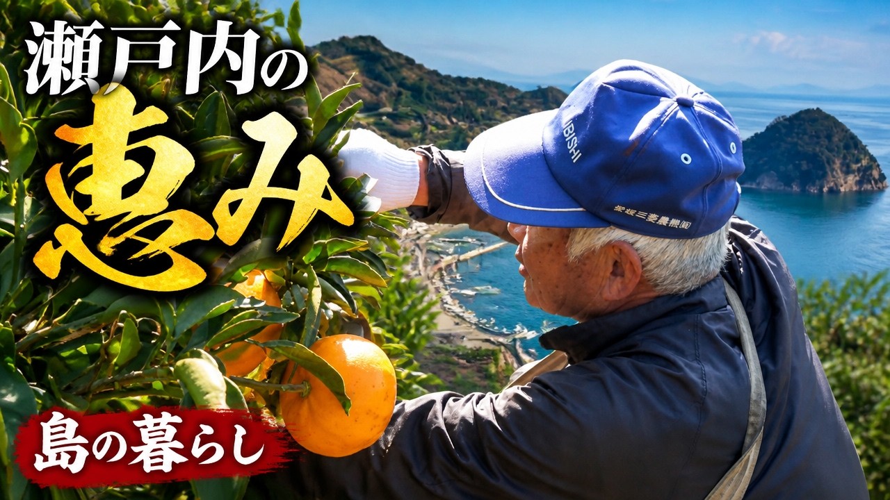 瀬戸内海の楽園　忽那諸島　怒和島（上怒和地区）nuwa kutsuna matsuyama ehime japan