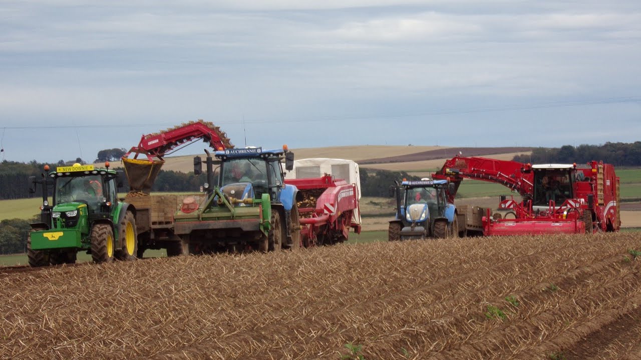 Auchrennie - Harvesting Tatties