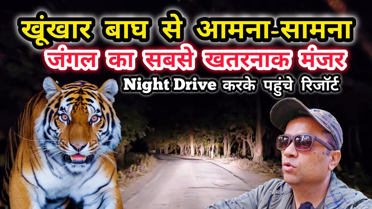 Tiger Sighting in Night Drive | खूंखार बाघ से आमना-सामना | Jim Corbett National Park | Sitabani Zone