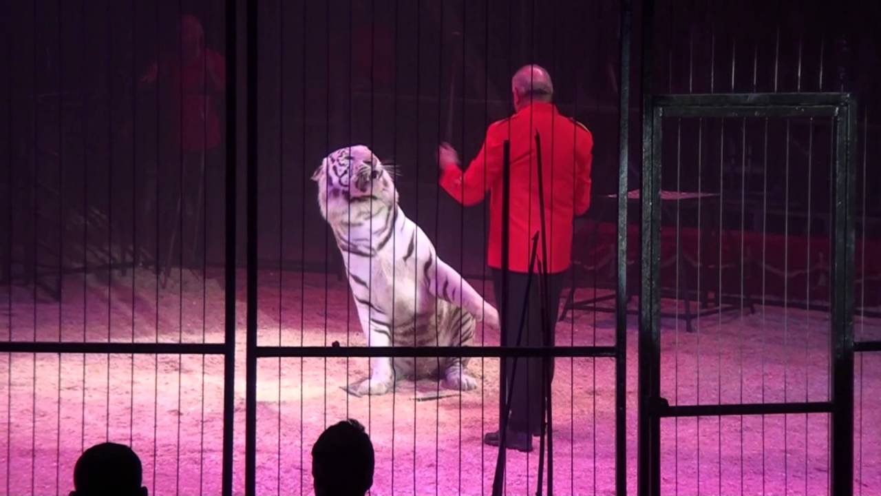 cirque Medrano à Nice le 07 avril 2016