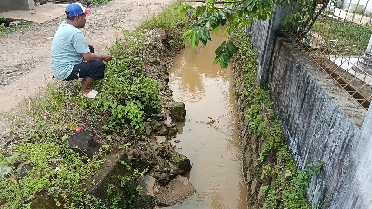Mancing di depan rumah banyak ikan betik dan keting