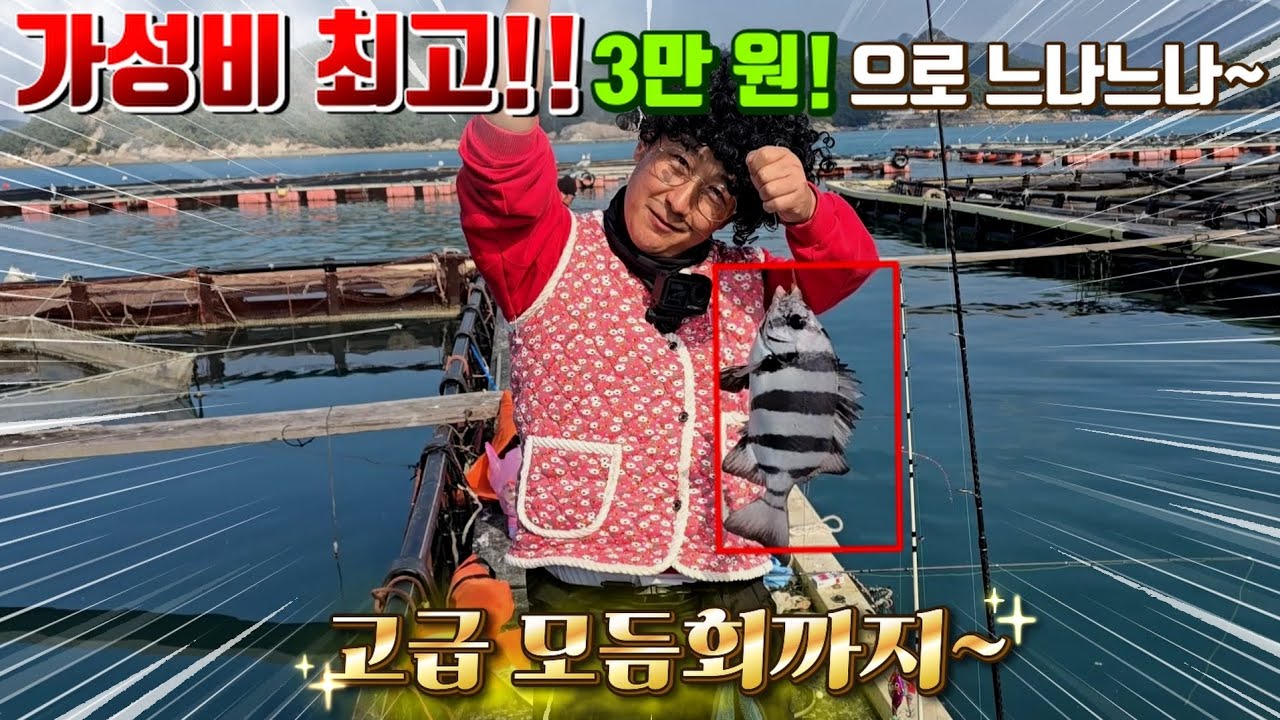 통영 앞 바다에 낚시대를 삼켜버리는 녀석들이 땀이 날 정도로 엄청잡히네요ㄷㄷ