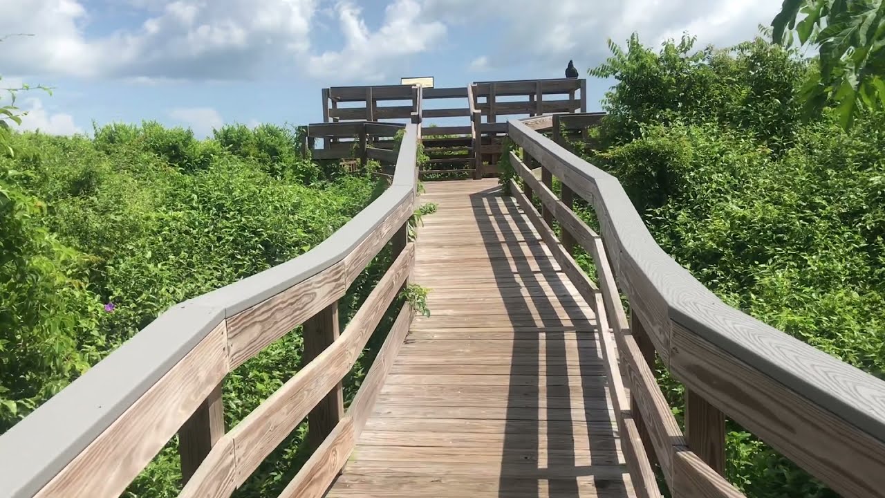 Turtle Mound **** (800 AD), Canaveral National Seashore, Florida