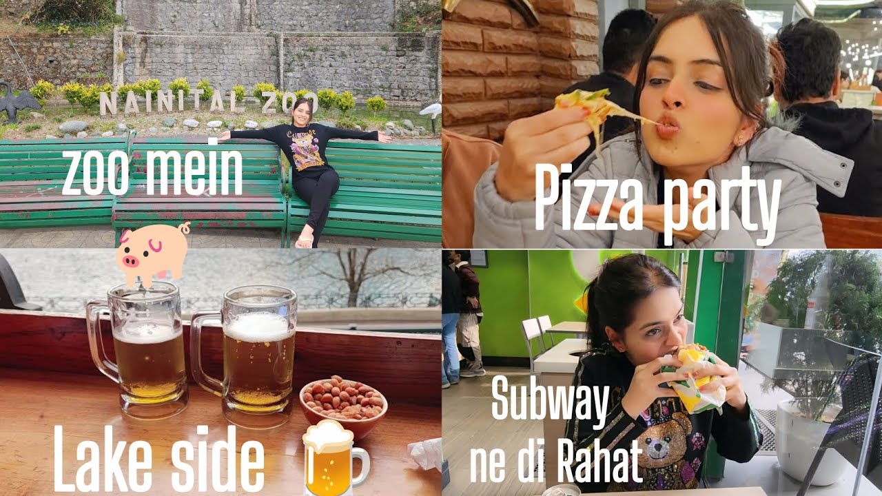 “Tiger in Nainital Zoo?! 🐅 + Lake Side Beer Night 🍺#Nainital #NainitalVlog #NainitalZoo #NainiLake