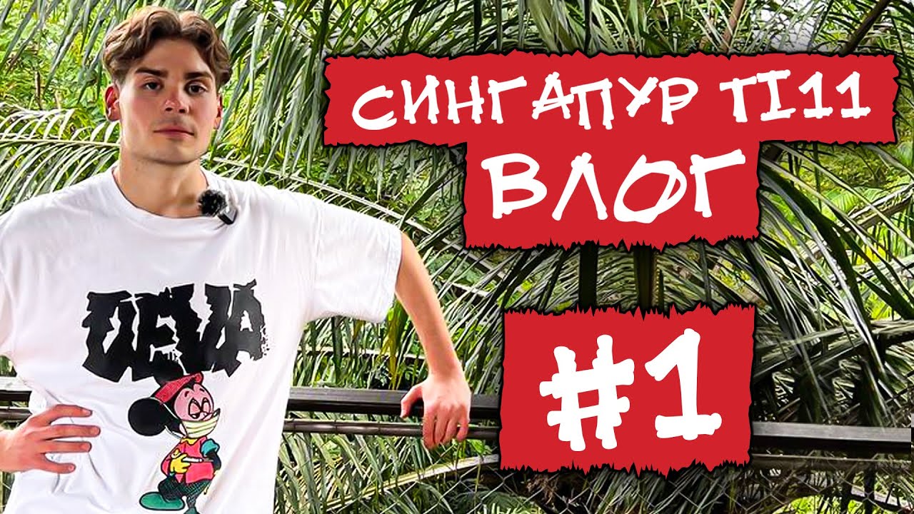 Влог из Сингапура #1. Зоопарк. Ночное сафари. Паркур.