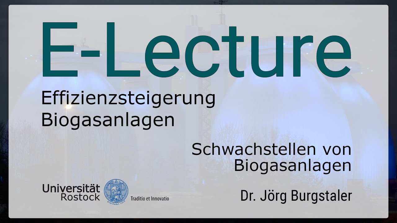 02. Effizienssteigerung Biogasanlagen | Schwachstellen von Biogasanlagen