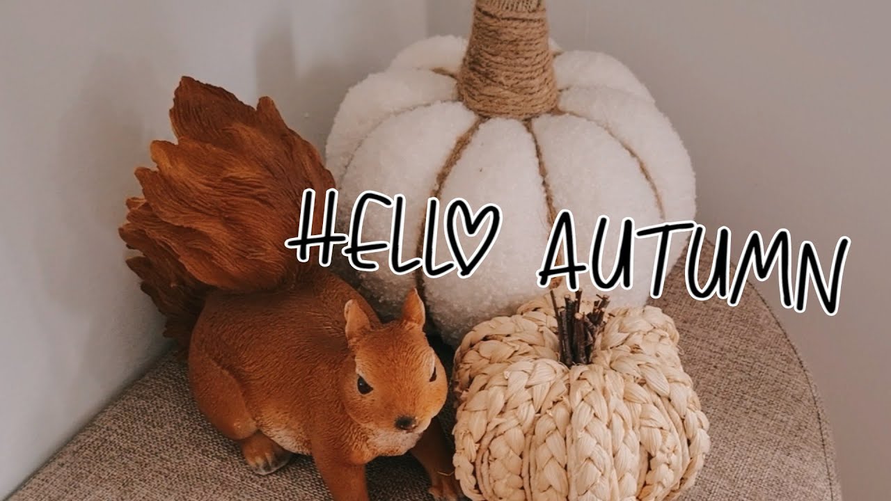 Herbstdekoration 2025 🦔🍂🤎