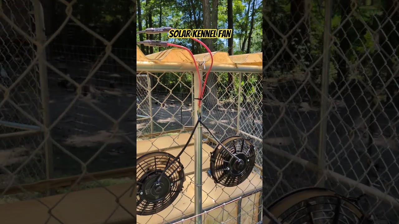 Solar Fans For Our LGDs Kennel 
