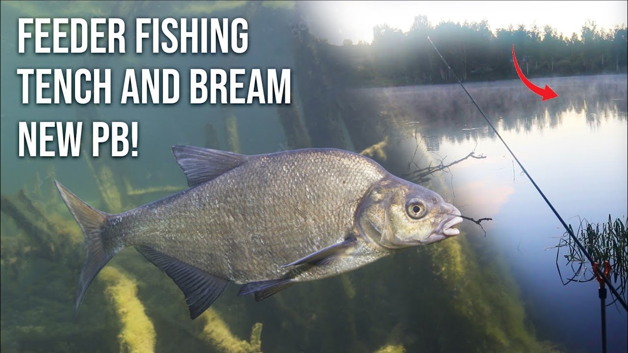 COARSE fishing for BREAM, TENCH(New Personal Best)